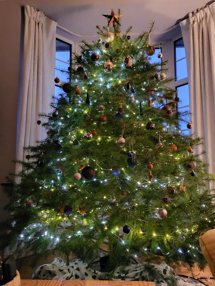 Weihnachtsbaum