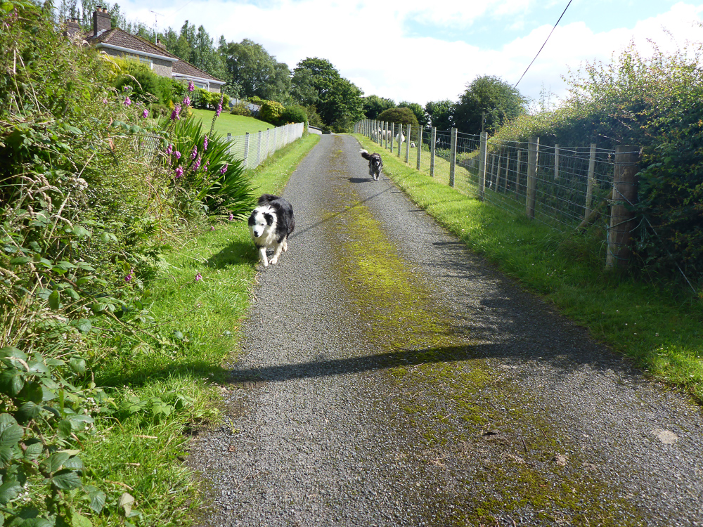 BarnesGap-37