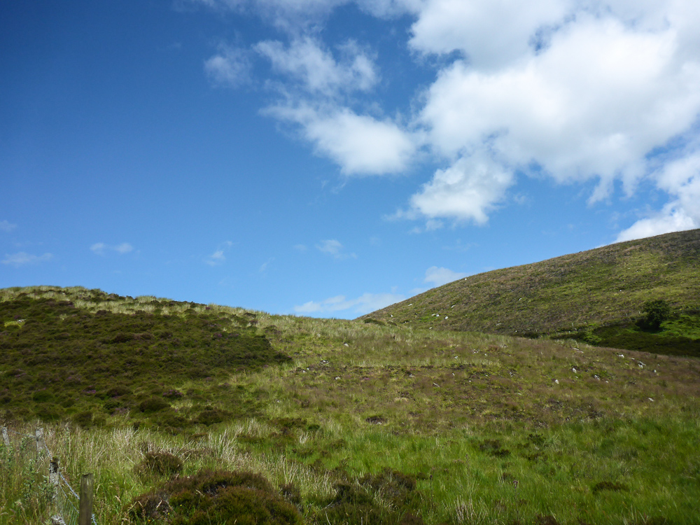 BarnesGap-49