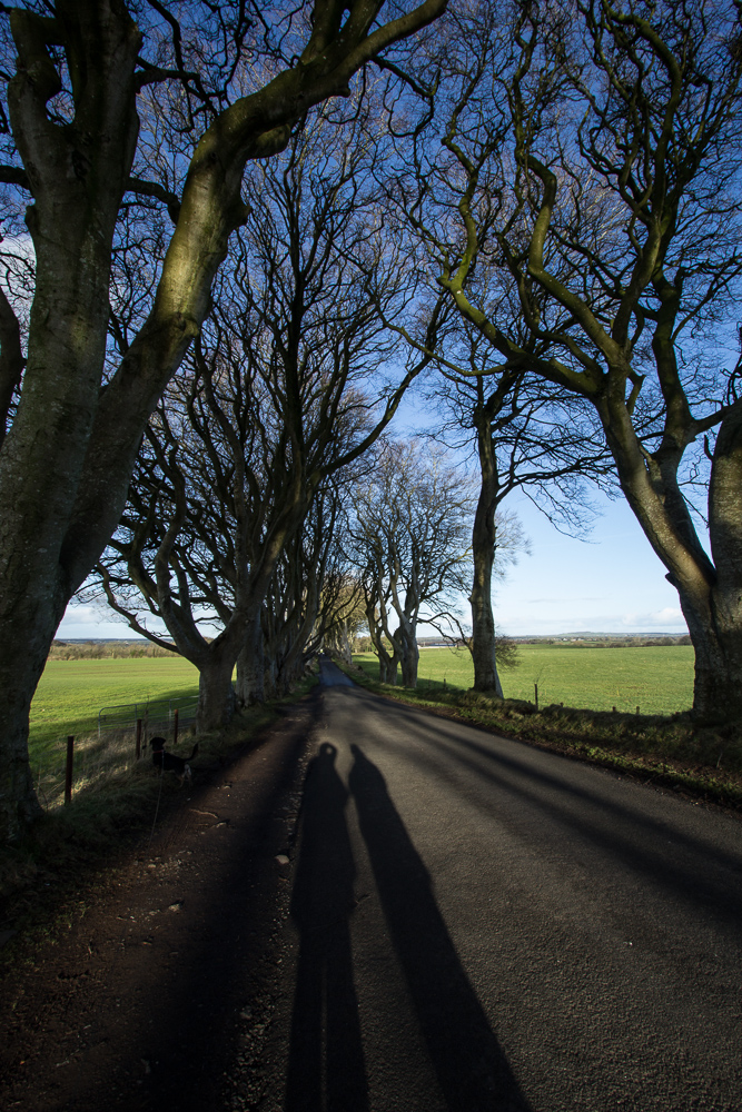 Causeway Coastal Route-002