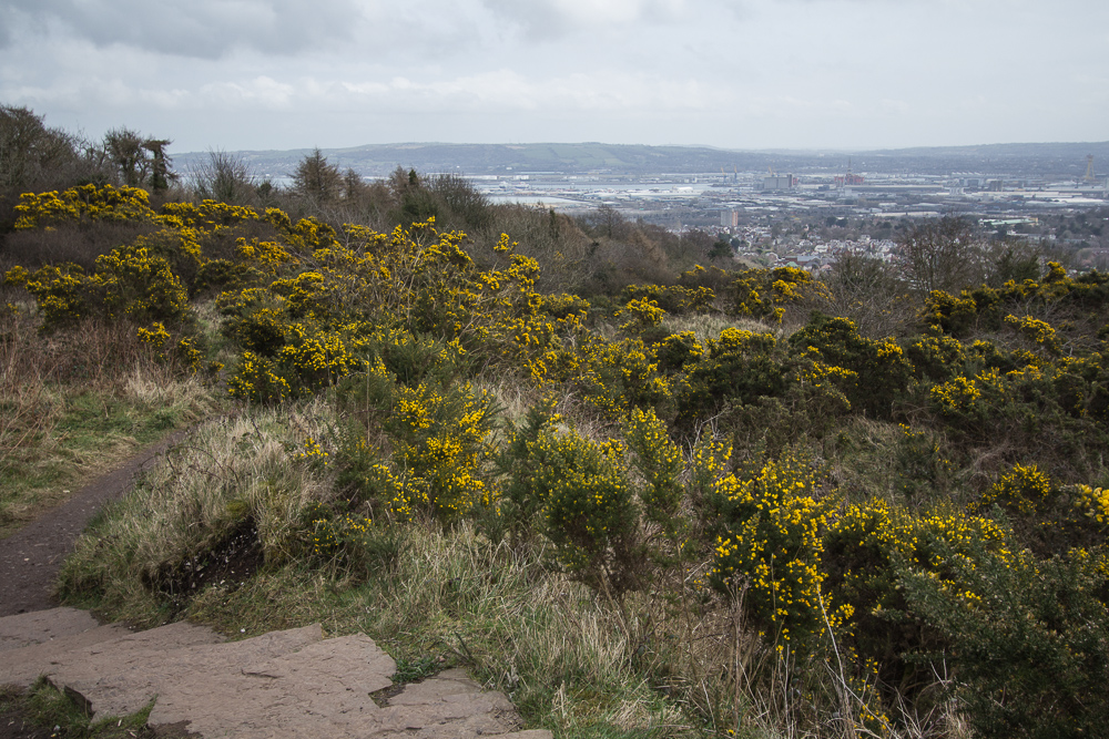 Cavehill-026