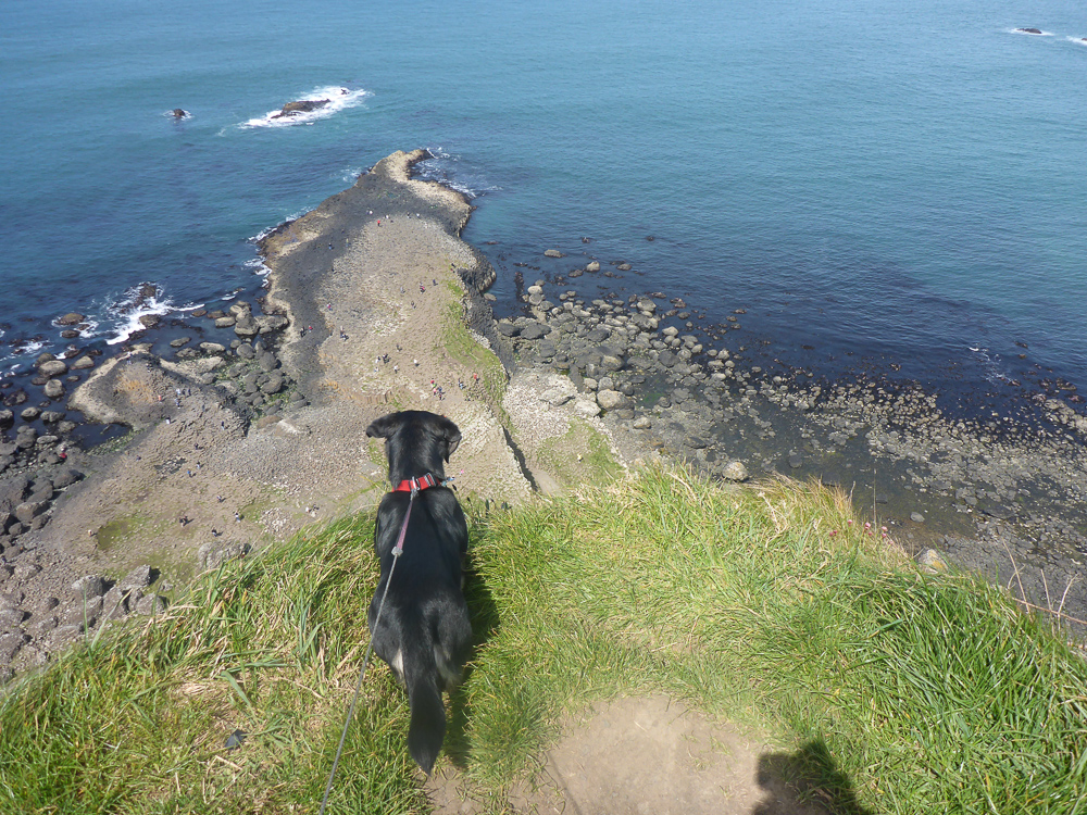 Giant's Causeway-035