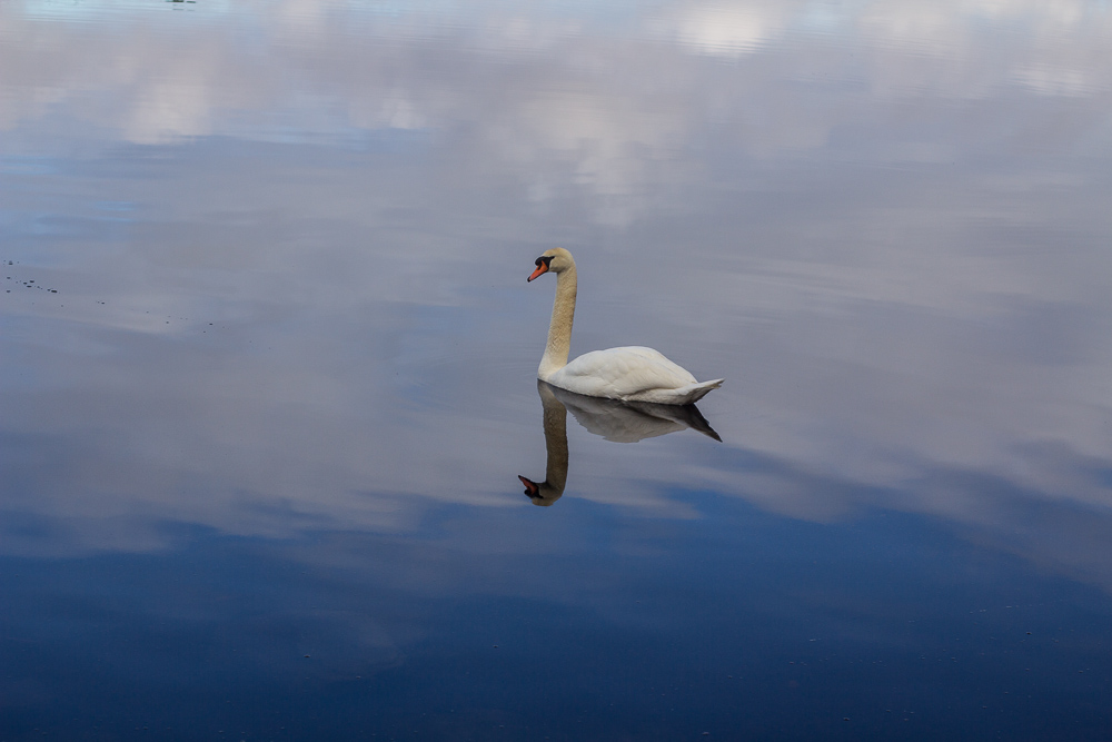 Lough Erne-023