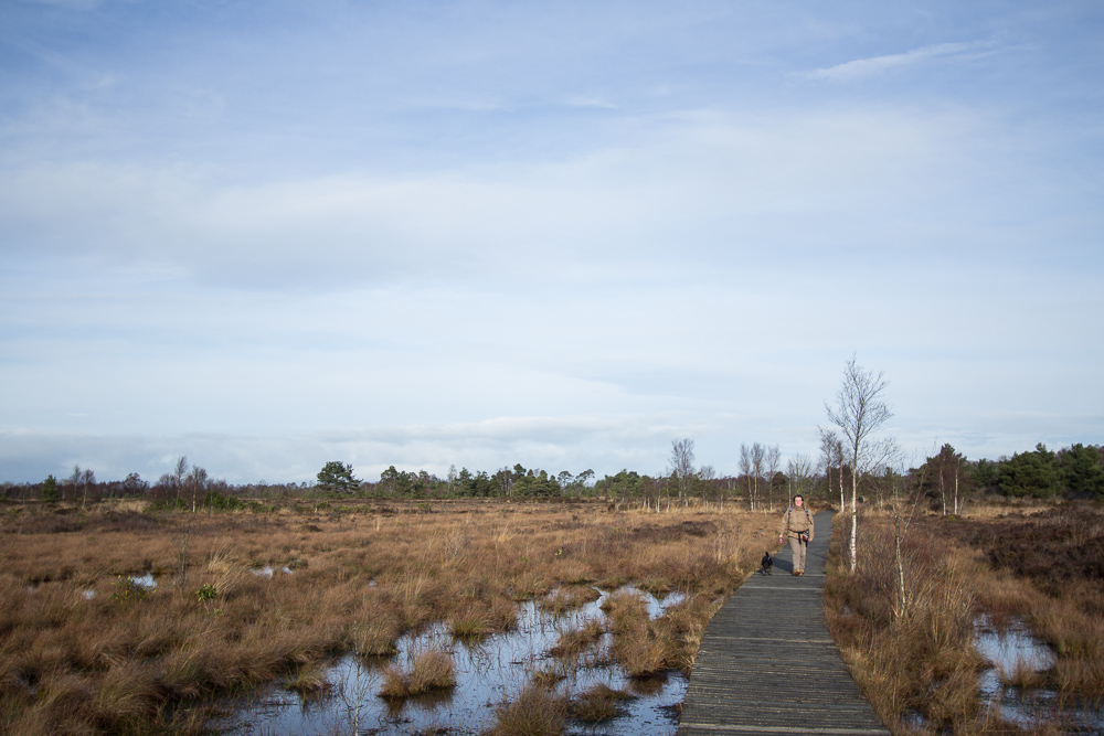 Peatland Park-022