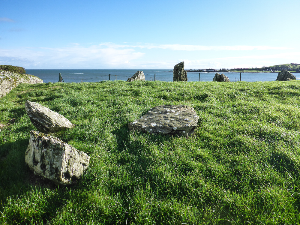 Strangford Lough-021