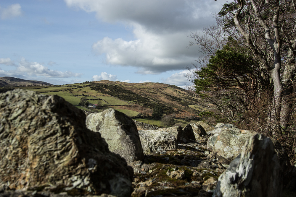 Tollymore Forest Park-017