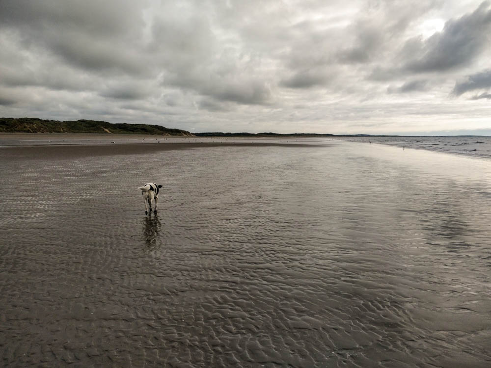 leerer Strand