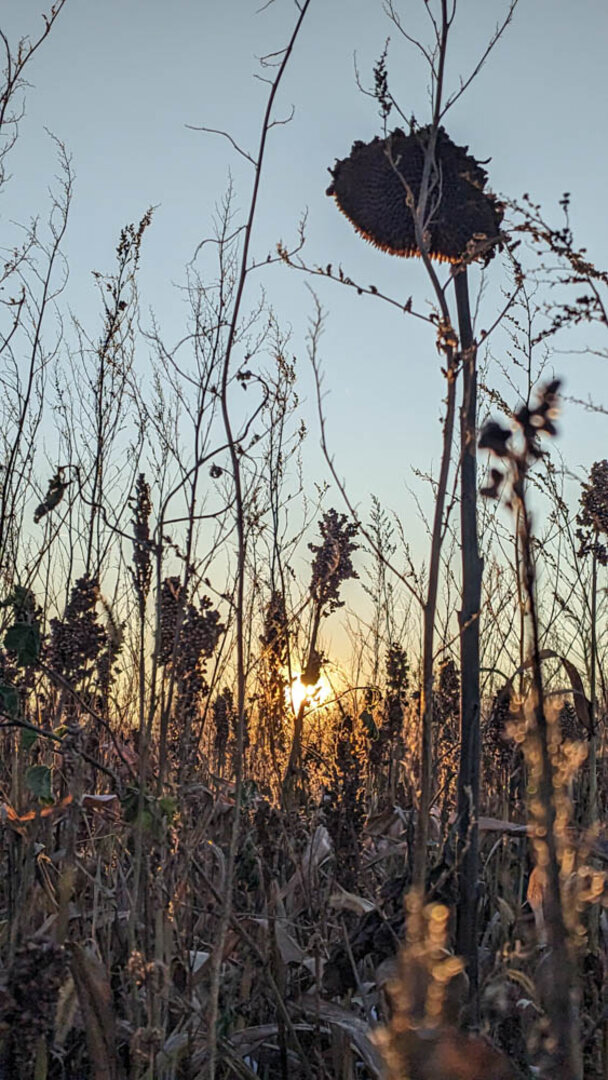 Hier geht es zur Galerie