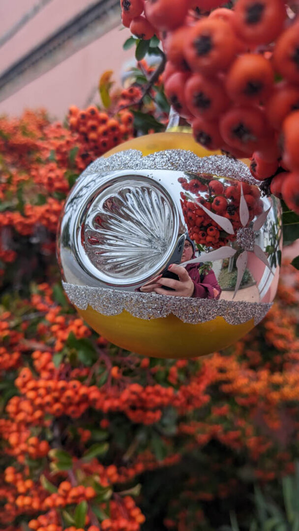 Hier geht es zur Galerie