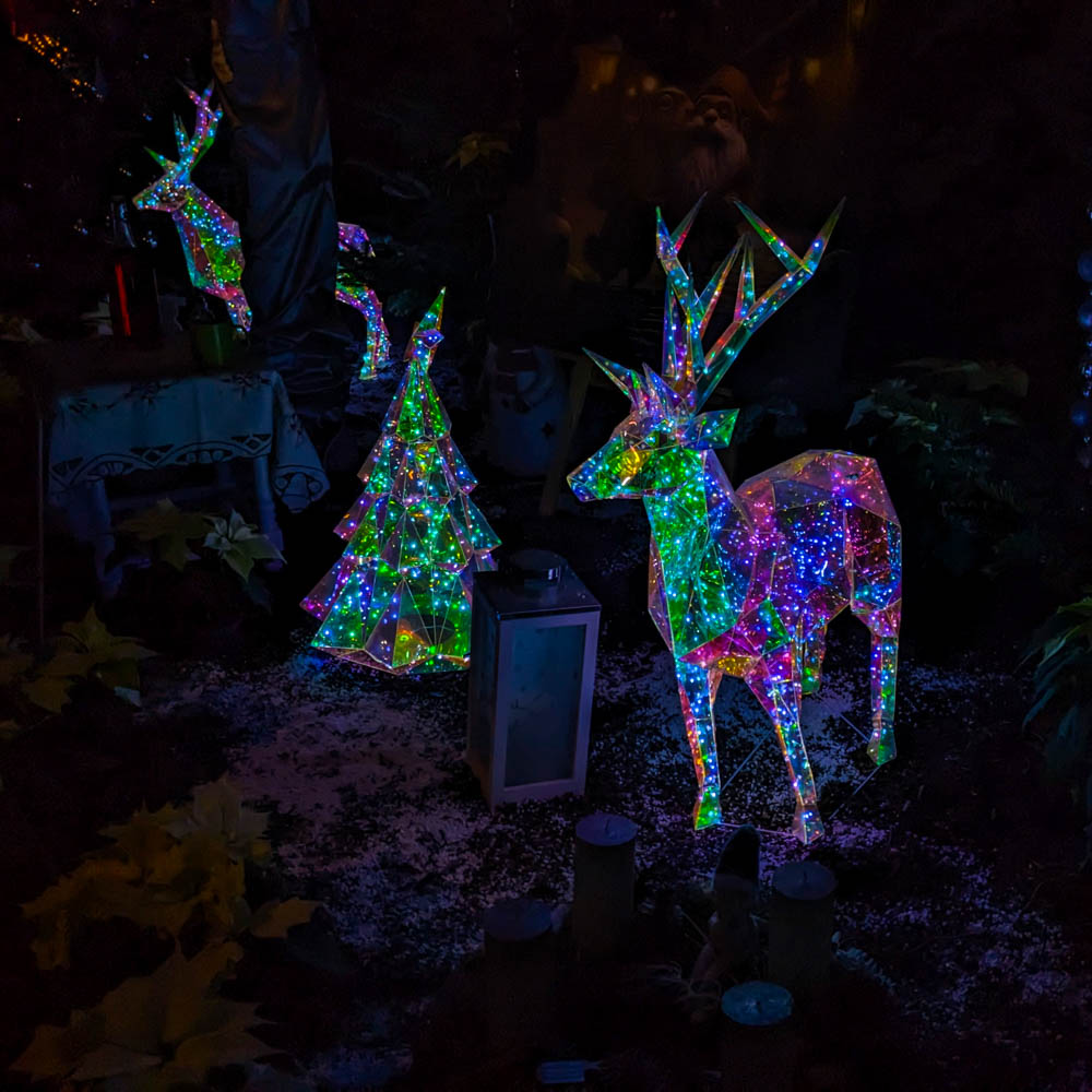 Hier geht es zur Galerie