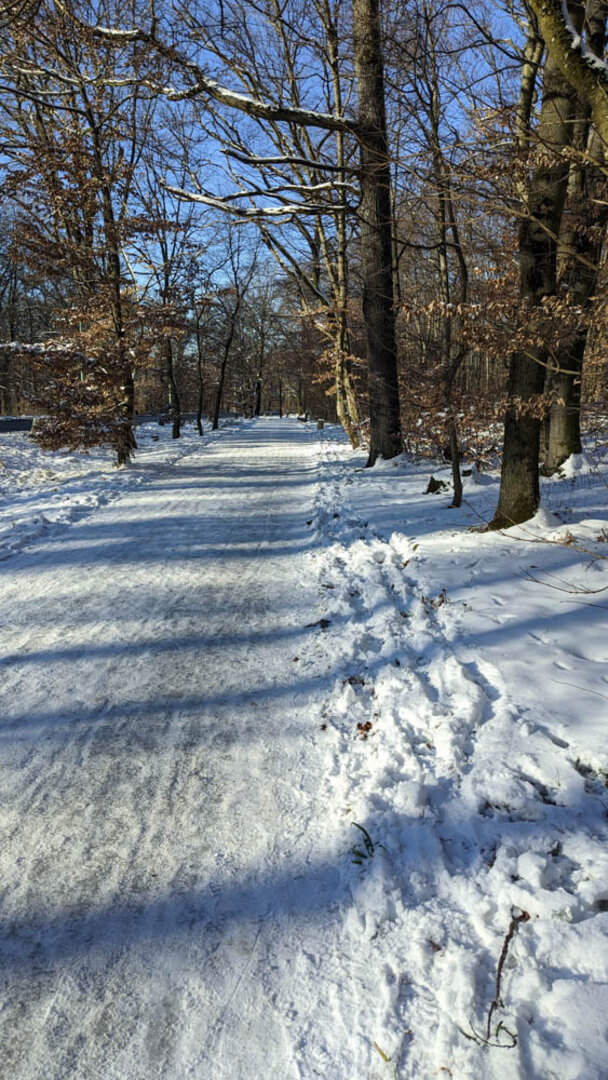 Hier geht es zur Galerie