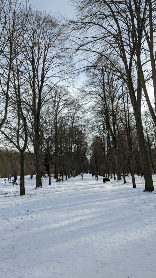 Hier geht es zur Galerie