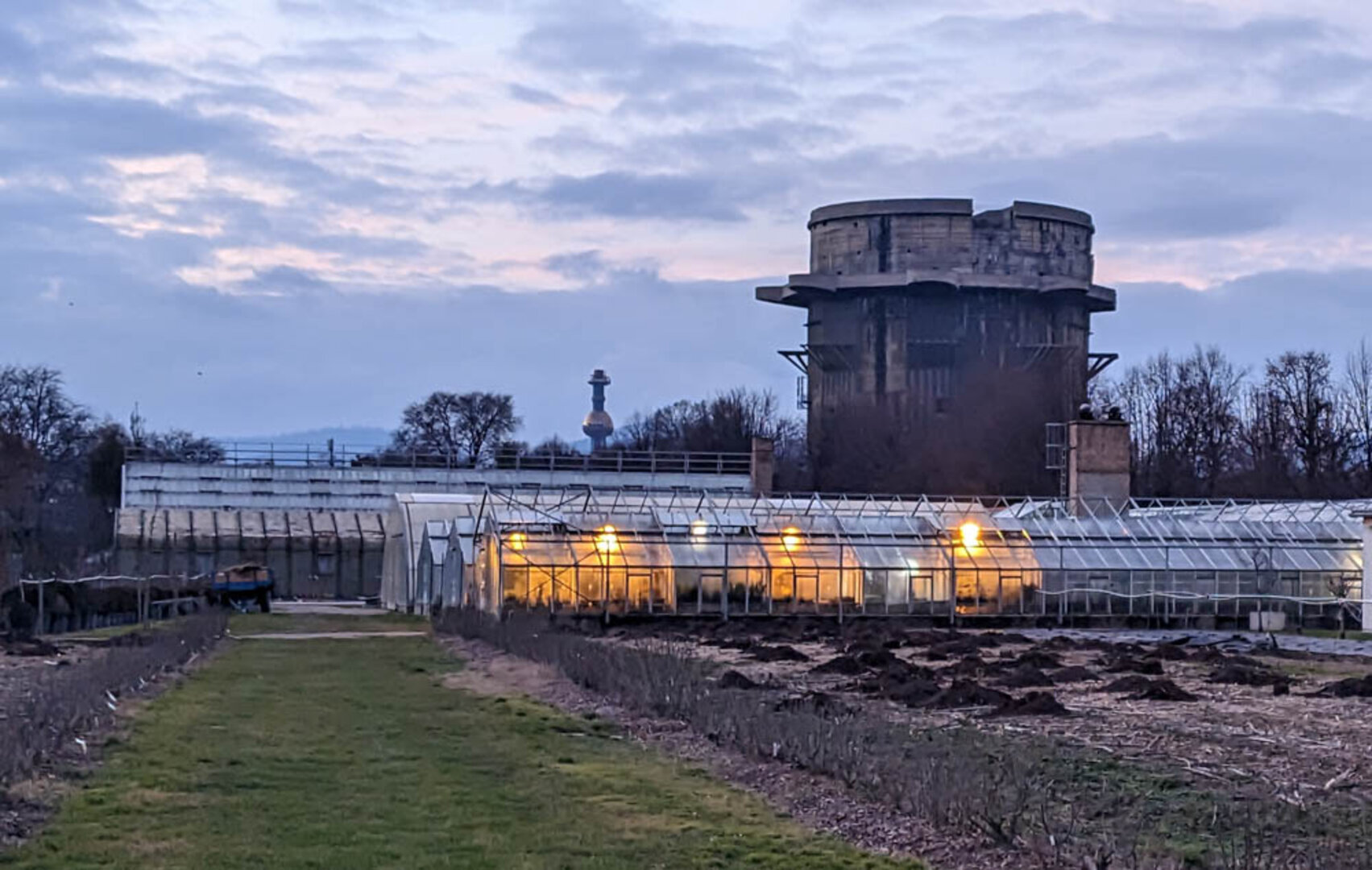 Hier geht es zur Galerie