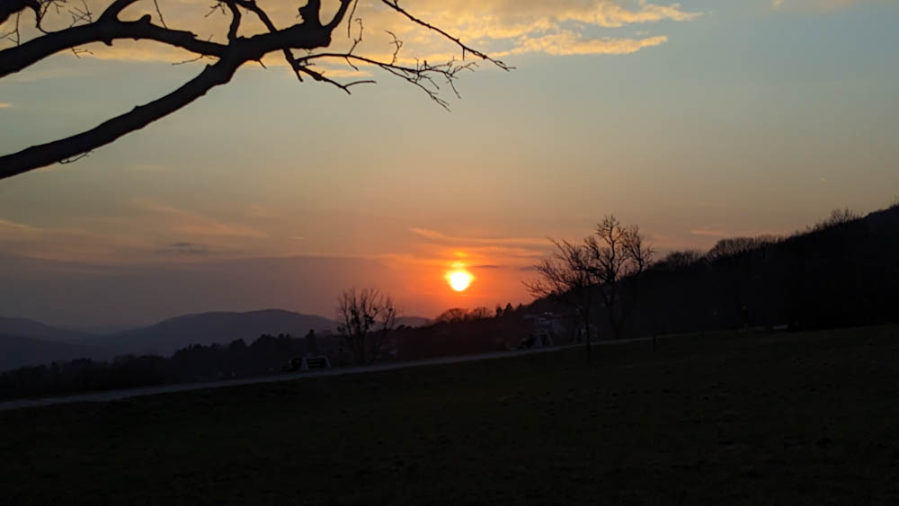 Hier geht es zur Galerie