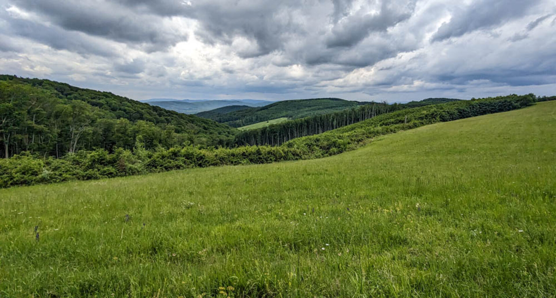 Aussicht
