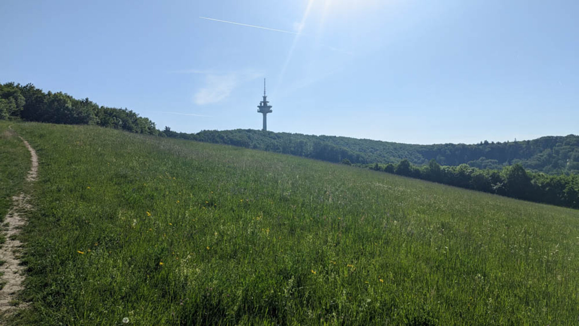 Exelberg