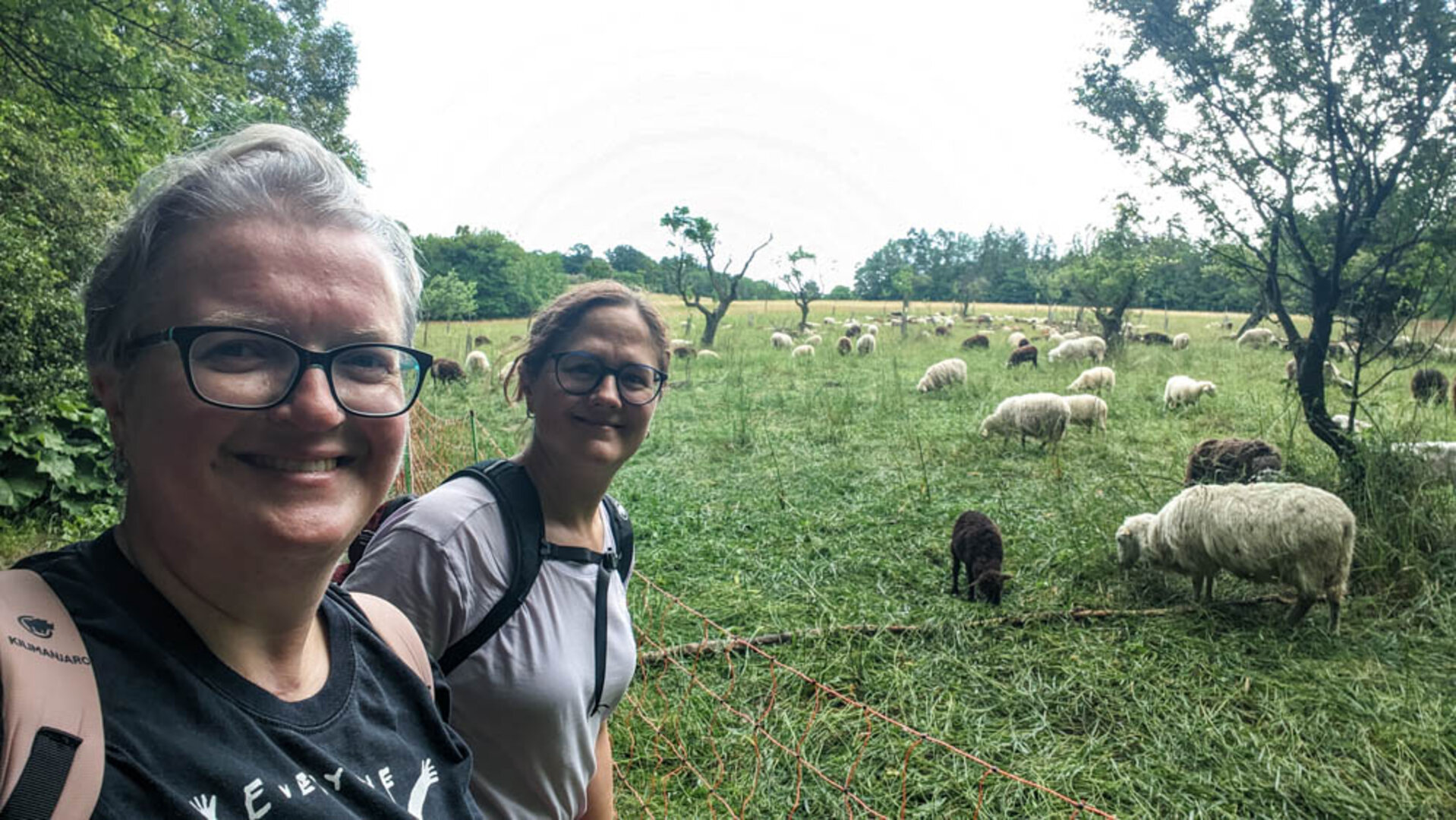 Hier geht es zu den paar Fotos vom Wandern