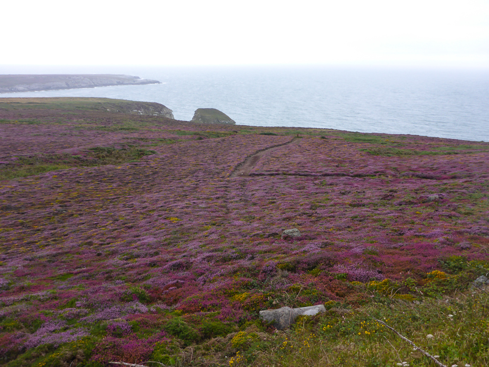 Holyhead und Caernarfon-008