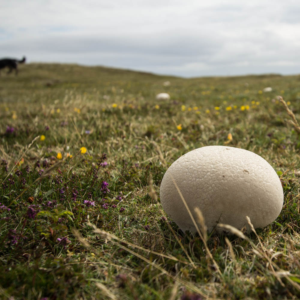 D06 Point of Ayre 006