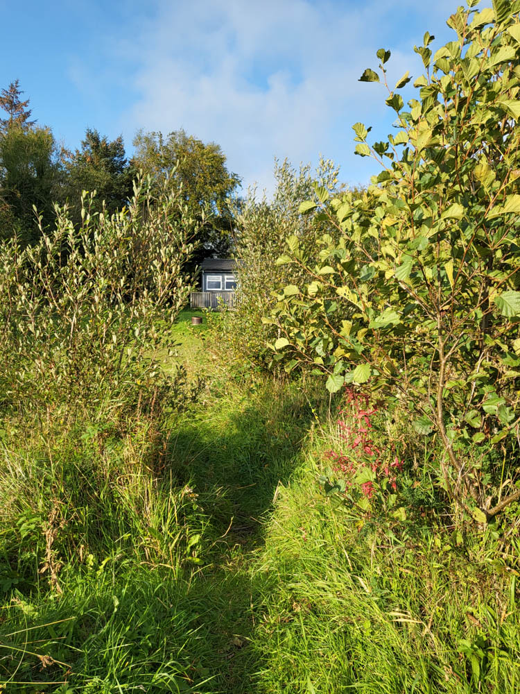 Blick zum Haus
