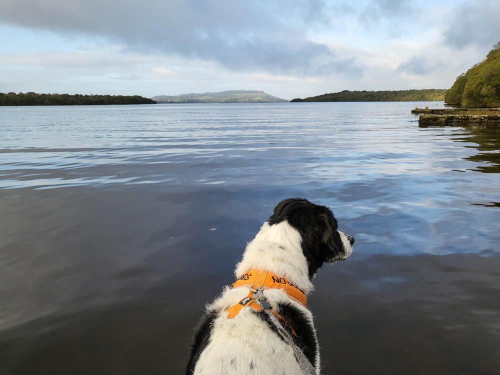 Blick auf den See