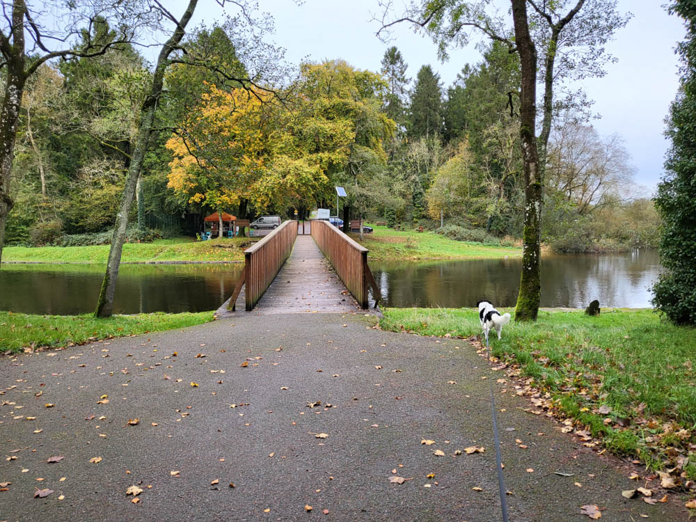 Killykeen Forest Park