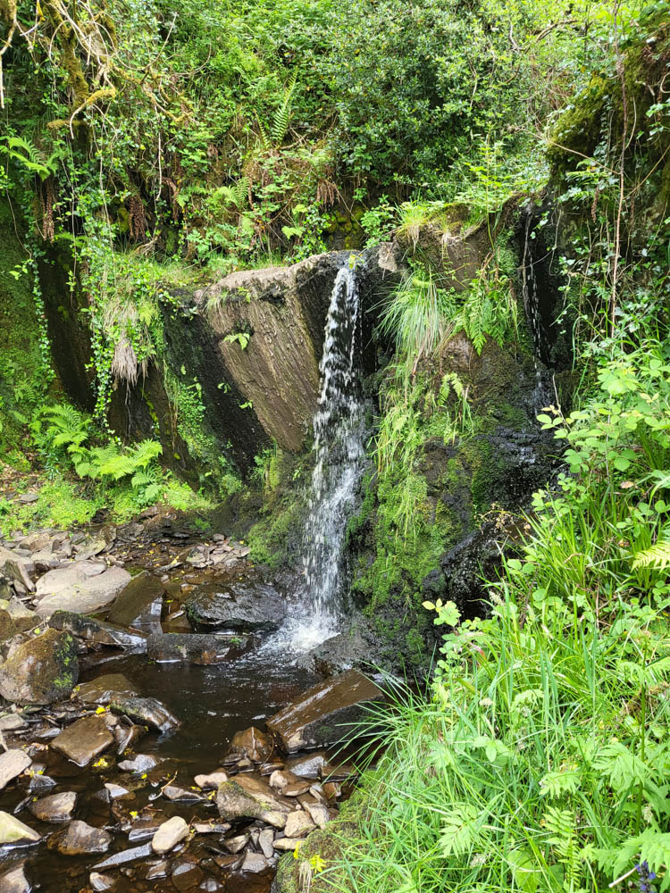 Wasserfällchen