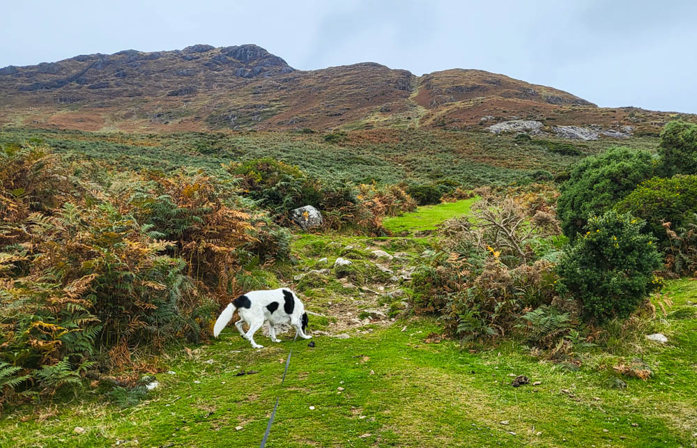 Slieve Foye