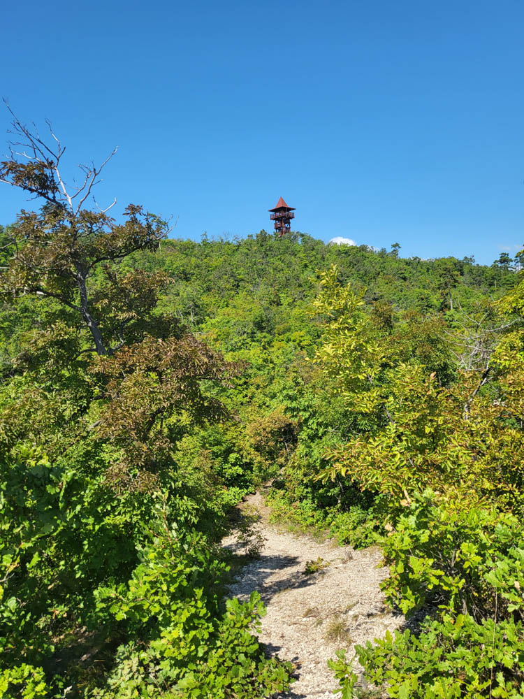 Aussichtsturm