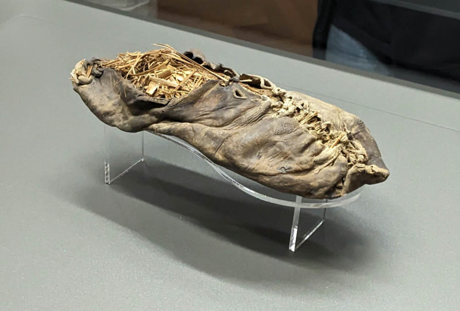Ältester Lederschuh